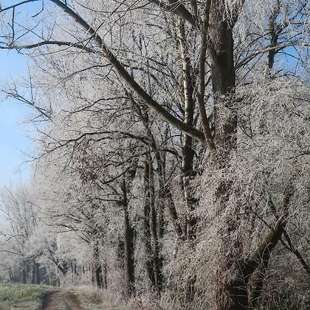 Studioferienhaus Herzogstadt-celle * Celle